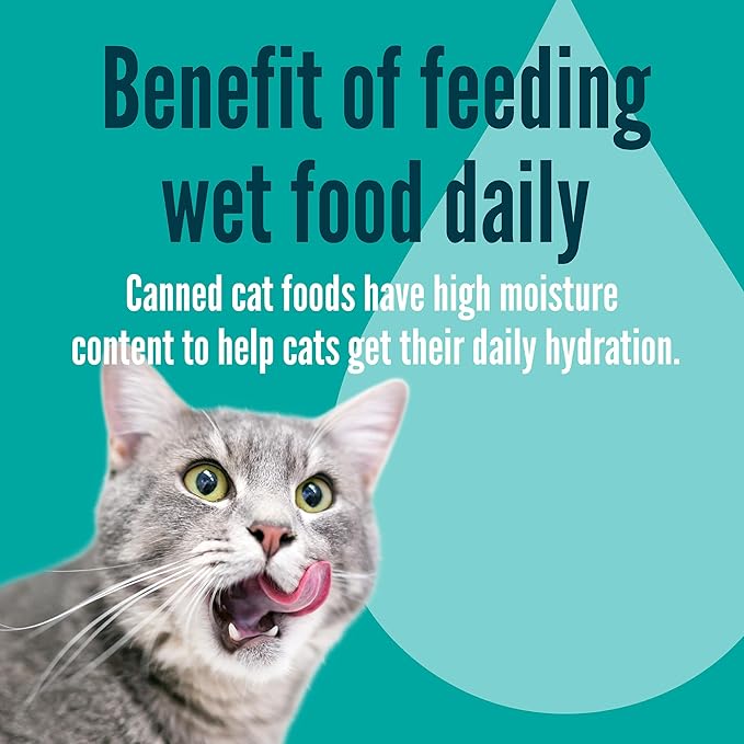 A Strong Heart Canned Wet Cat Food, Chicken Shreds in Sauce -3 oz Cans (Pack of 24), Made in The USA with Real Chicken