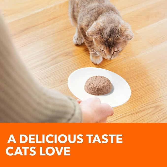 IAMS Perfect Portions Healthy Kitten Grain Free Wet Cat Food, Wet Cat Food Pate Recipe, Chicken Recipe, 2.6 oz. (24 Twin Packs)