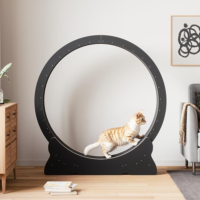 Cat Exercise Wheel, 46'' Cat Wheel for Indoor Cats with Carpeted Runway, XL Treadmill with Removable Carpet and Teaser, for Running Walking Training (Black)