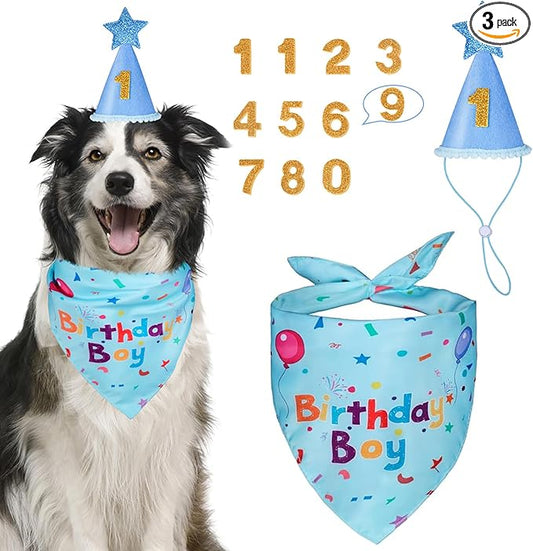 Dog Boy Girl Birthday Party Hat, Dog Birthday Party Supplies, Birthday Bandana Set with Numbers for Gaint and Extra Large Dogs (Blue)