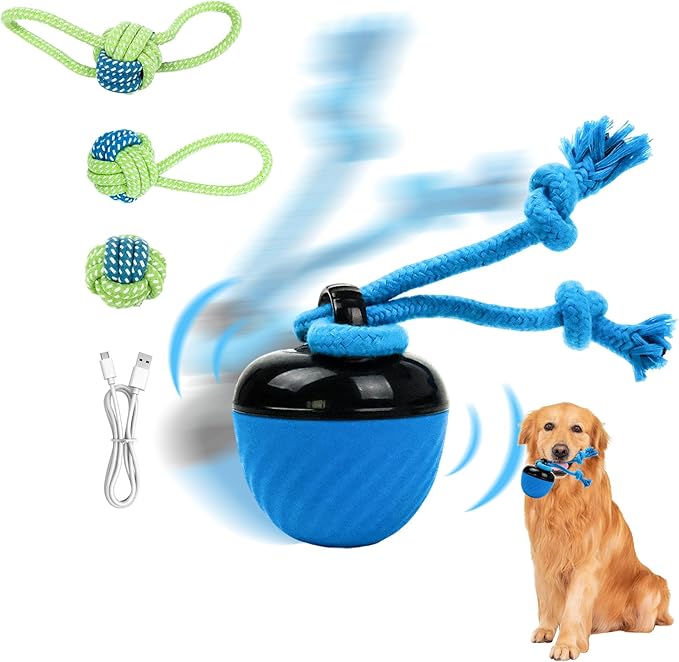 Interactive Dog Toys with Motion Activated, Squeaky Dog Toy Active Rolling Ball for Puppy and Medium Dogs, USB Rechargeable, Wicked Ball