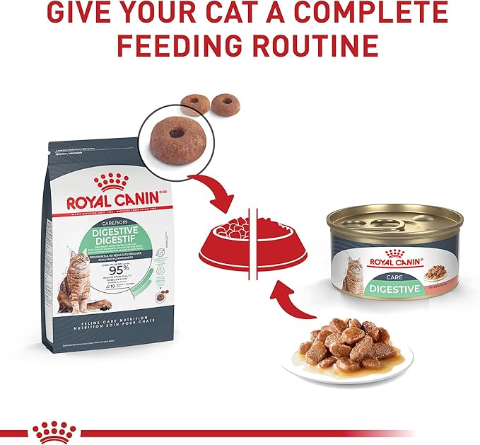 Royal Canin Feline Care Nutrition Digestive Care Adult Thin Slices in Gravy Cat Food, 3 oz (Pack of 12)