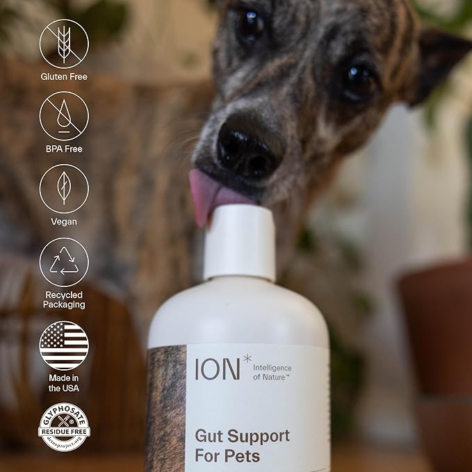 ION* Intelligence of Nature Gut Support For Pets - Liquid Probiotics Drops Alternative for Dogs & Cats, Digestive Health for Puppies, Skin & Hair Health - 16 fl oz (Pack of 1)