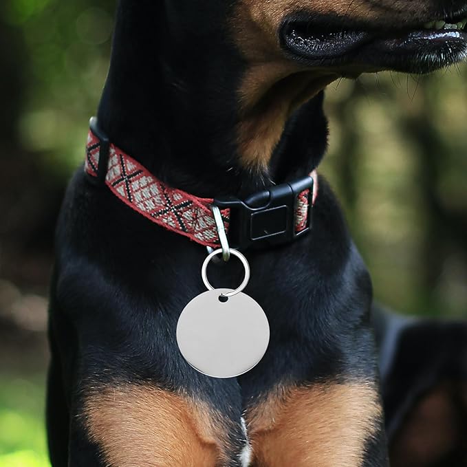 HANABASS 10pcs Stainless Steel Dog Tag Blank Pendants 30mm Smooth Metal Stamping Tags for Pet Id Engraving DIY Craft Supplies