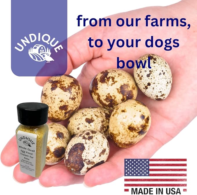 Undique Quailicious Boost Pet Food Enhancer - Healthy Dog Food Topper with Whole Quail Eggs - Pet Health Supplements for Energy, Immune Function, Shiny Coat & Skin - Omega-3 & Omega-6 Rich