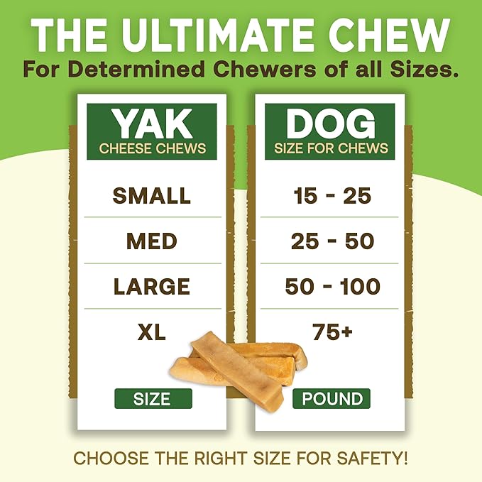 EcoKind Premium Gold Yak Cheese Himalayan Dog Chews, Dog Treats Large Breed, All Natural, High Protein, for Aggressive Chewers, Large - 3 Chews