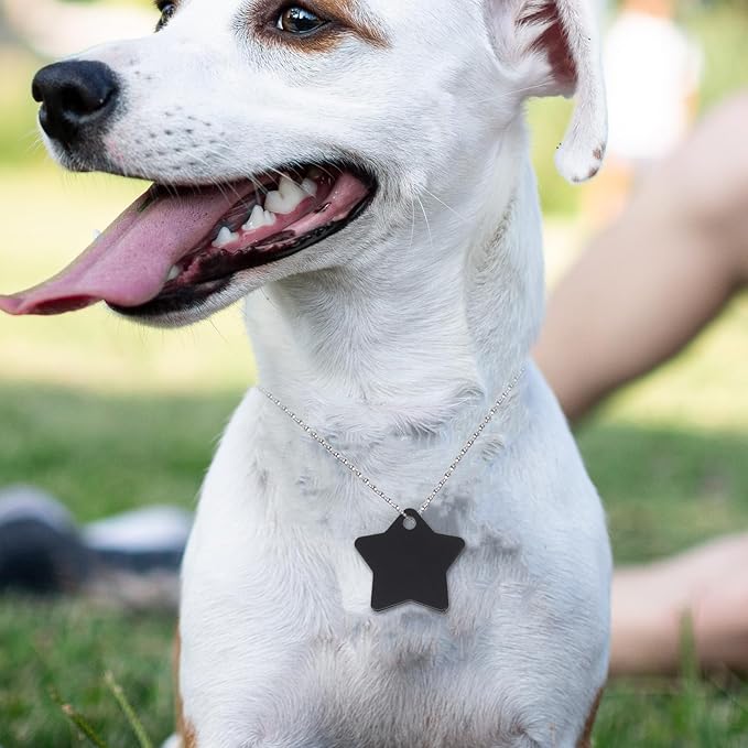 10pcs Star-Shaped Metal Pet Id Tags Address Tags Hanging Collar Charms for Dogs and Cats Multi-Color Pet Supplies Prevent Loss Random Color