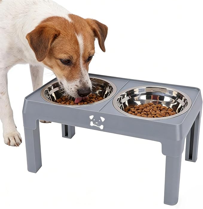 Pssopp Dog Supplies Stainless Steel Bowls Height Adjustable Foldable Pet Food Bowl for Small Medium Large Dogs Elevated Dog Bowl, 2 Raised Stand