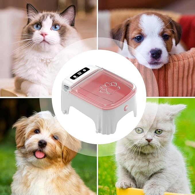 Timed Pet Feeder Machine - Auto Cat Feeding Bowl, Electric Food Dispenser Unit | Small Dog Programmable Dry Meal Device, Sensor-Based Feeder for Home Pet Routine and Easy Management