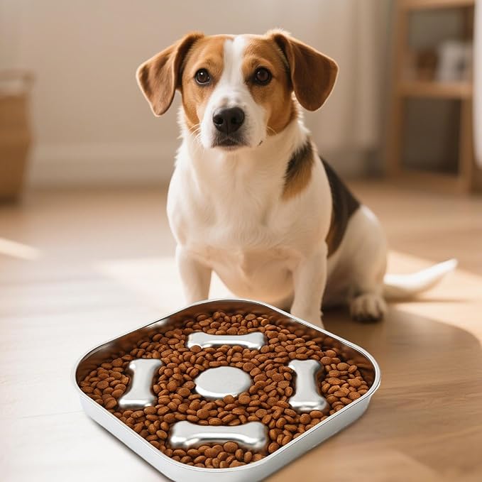Genérico Slow Food for Dogs, Stainless Steel Pet Supplies - Puzzle for Dogs and Cats - for Wet and Dry Food, Indoor and Outdoor Use, for