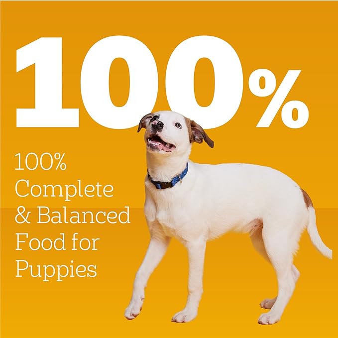 Pedigree Puppy Chopped Ground Dinner Wet Puppy Food with Chicken & Beef,Canned Dog Food,13.2 oz. Cans,12 Count (Pack of 2)