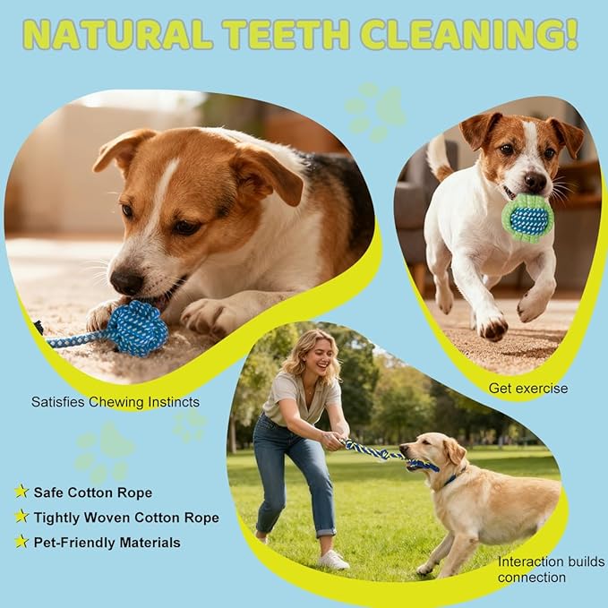 Puppy Chew Toys for Teething- 14pcs Interactive Pet Toy Set for Small Breed with Squeaky Rope Ball Toys - Birthday Gifts for Dogs