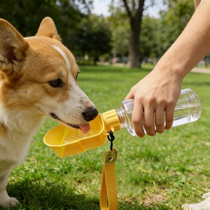 Pet Water Bottle - Leak Proof Cute Printed,Cat Water Bottle Camping Supplies | for Puppy Kitten Small Medium Large Breed Camping Hiking Walking Climbing Picnic Play