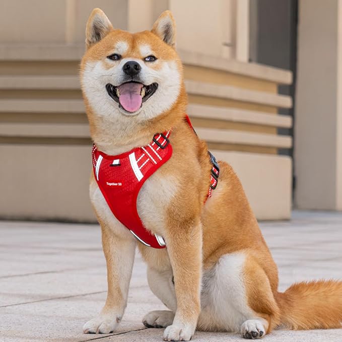 Dog Vest Harnesses Pet Strong Training Walking Swimming Supplies Soft Handle Training Vest Dog Vests for Small Dogs