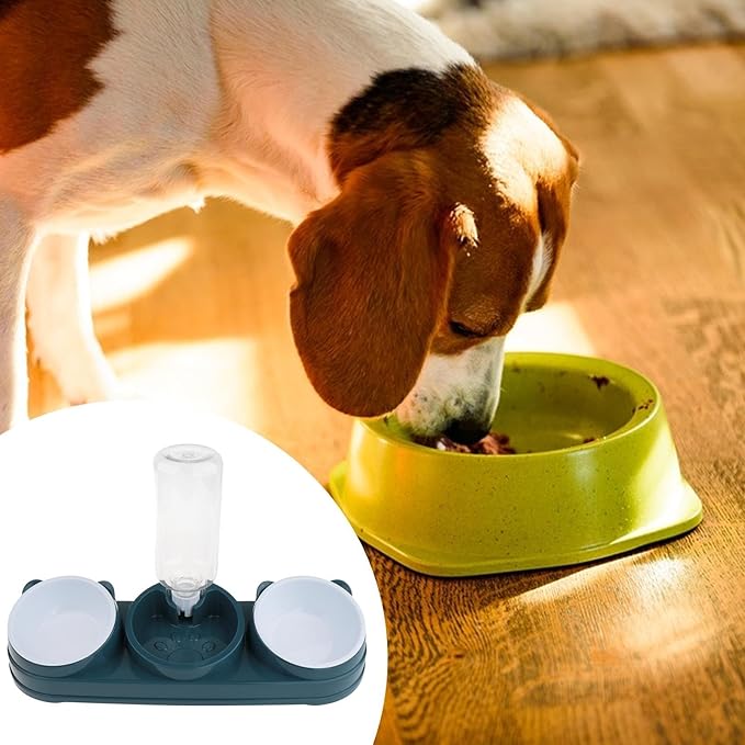Elevated Double Bowl Pet Feeders with Automatic Water Dispenser Antislip Base for Dog Cats Daily Feeding Watering Supply - Black - Version