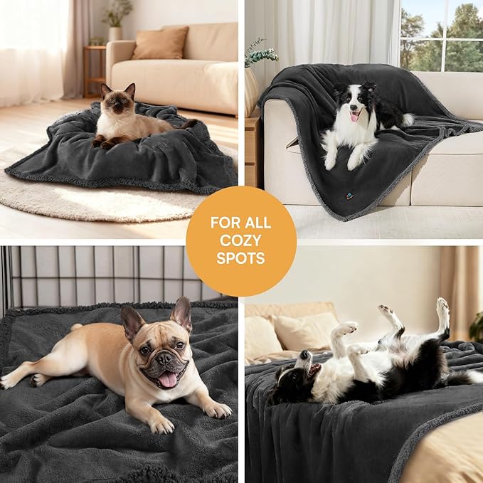 Luciphia Waterproof Pet Blanket, Liquid Pee Proof Dog Blanket for Sofa Bed Couch, Reversible Sherpa Fleece Furniture Protector Cover for Small Medium Large Dogs Cats, Black Queen Size（90" x 82"）