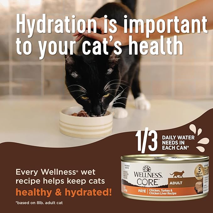 Wellness CORE Pate Kitten Wet Cat Food,Natural,Protein-Rich,Grain Free,3 Ounce (Turkey & Chicken Liver),(Pack of 24)