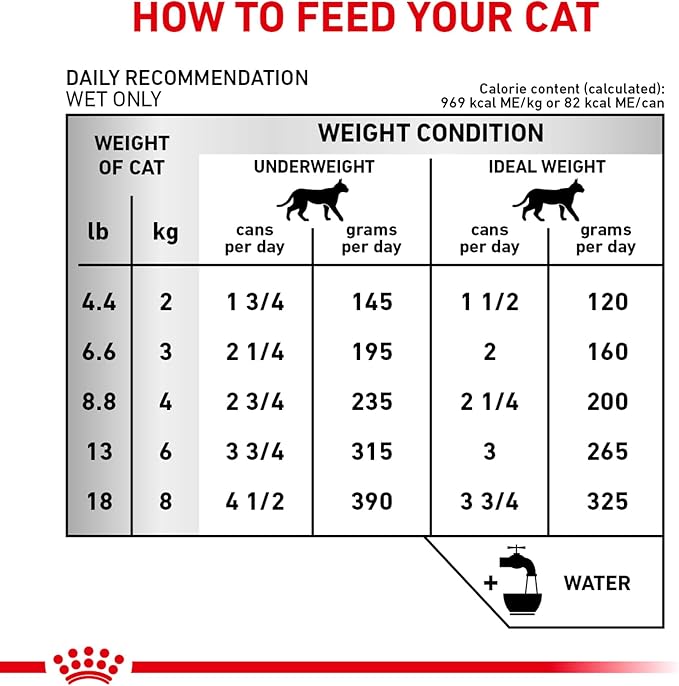 Royal Canin Veterinary Diet Feline Renal Support T Adult Thin Slices in Gravy Cat Food, 3 oz (Pack of 6)