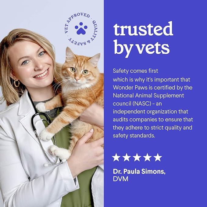 Premium L-Lysine Supplement for Cats – for Immune Support, Sneezing, Runny Nose, Watery Eyes & Nasal Health– 60ML Lysine for Feline Respiratory Support – Cat Lysine Drops with Taurine for Immunity