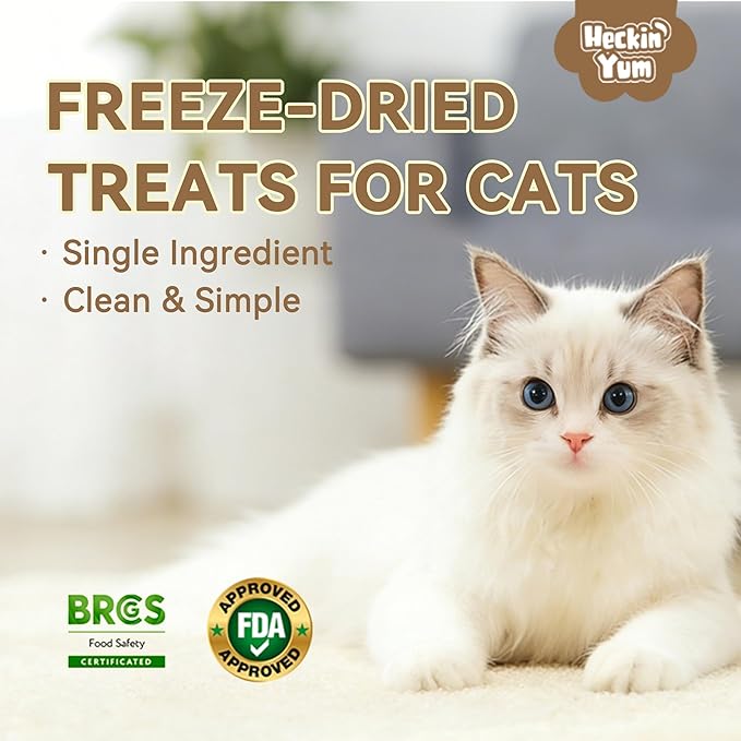 Freeze Dried Chicken Cat Treats 9 oz- Single Ingredient, Grain-Free, Gluten-Free, Filler-Free Freeze Dried Raw Cat Food Topper