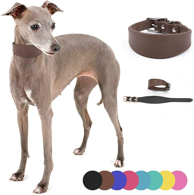Leathers Greyhounds Collars Soft Padding Wide Collars for Whippets Lurchers Salukis Large Breeds Pet Accessories Dogs Supplies Supplies Accessories Collar