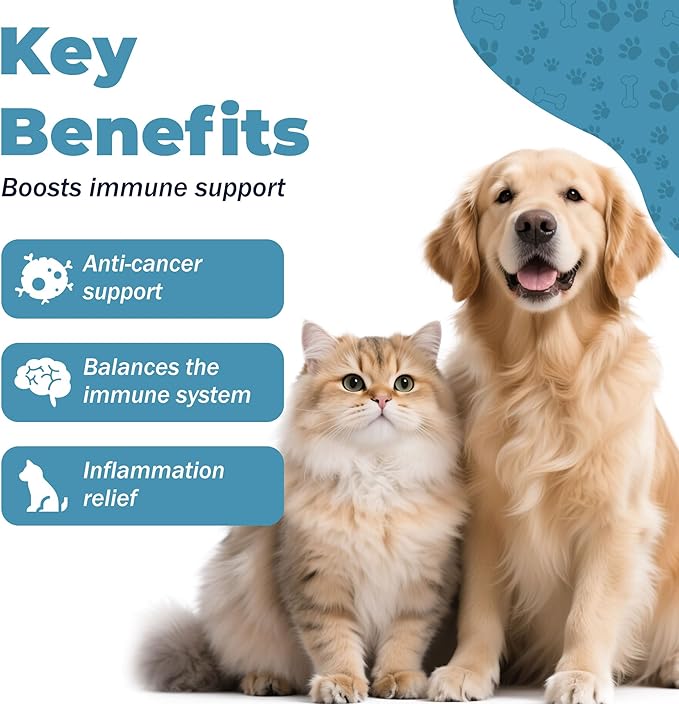 Relief Dog Allergy & Ear Infection — Quercetin for Dogs + Bromelain with Turkey Tail Mushroom & Probiotics — Allergy Medicine for Dogs, Itch, Skin, Hot Spot 120 Chews