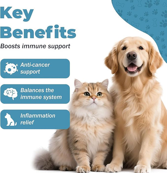 Relief Dog Allergy & Ear Infection — Quercetin for Dogs + Bromelain with Turkey Tail Mushroom & Probiotics — Allergy Medicine for Dogs, Itch, Skin, Hot Spot 120 Chews