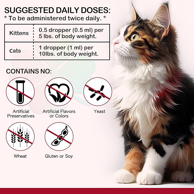 Iron Supplements for Cats, Liquid Iron for Cats, Liquid Iron Drops with Folate and B12 Supports Anemia, Low Enery Levels and Lethargy, Improve Energy Levels & Vitality, Cat Supplement