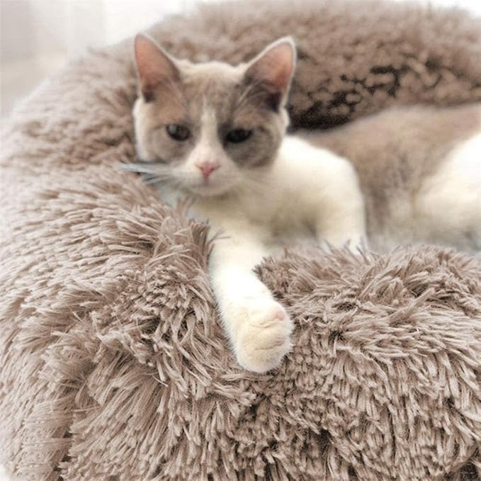 Cat Beds for Indoor Cats - Cat Bed Washable 20 inches, Dog Beds for Small Medium Dogs, Anti Anxiety Round Fluffy Plush Faux Fur Pet Bed, Thick Bottom (Light Brown, Medium)