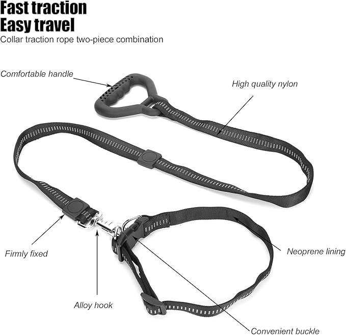 Heavy Duty Dog Leash Collar Set, Adjustable Nylon Leash with Soft PP Handle, Durable Rope Leash Collar for Small Medium Large Dogs, Pet Supply with Elastic Shock (Black)