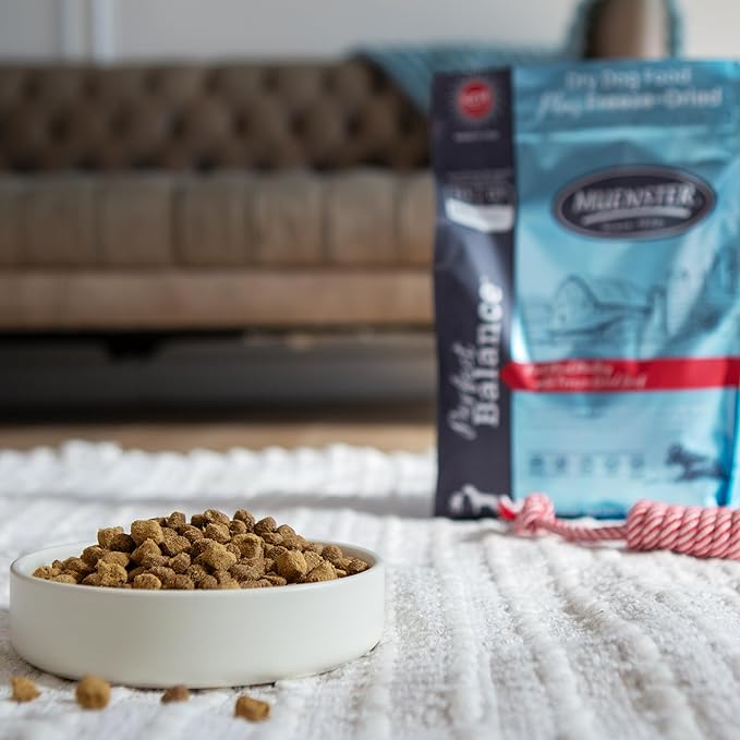 Muenster Perfect Balance Raw Pork Kibble Mix with Freeze Dried Beef for Dogs - High Protein, No Corn, Wheat, or Soy - Probiotic Dog Food Raw Treats for Healthy Gut - All Life Stages, 3.5 lb Bag