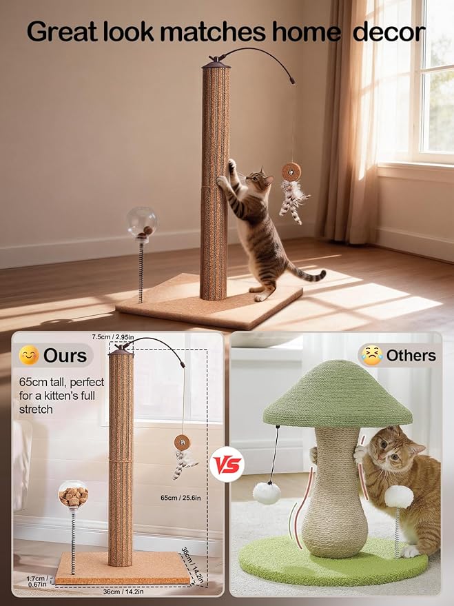 Kitten Claw Friendly Scratching Post Cork & Cardboard Mix Indoor 26" Premium Durable Nature Kittens Scratch Post Tree with Snack Ball & Feather Interactive Toys for Novice Cat Owner