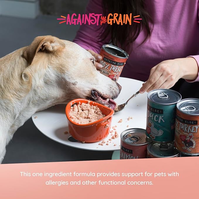Evanger's Against The Grain Nothing Else! 100% Salmon Dog Food – 12 Count, 11 oz Each – Single-Ingredient Meatball Texture in Natural Broth – Wet Dog Food – Grain & Gluten Free