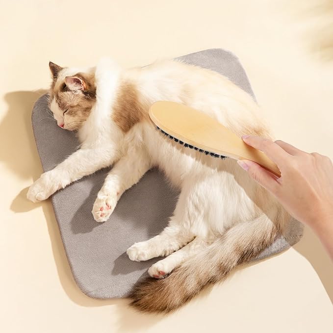 IMIKEYA Cat Hair Remover Brush with Wood Handle and Black Boar Bristles Shoe Scrubbing Brush for Indoor Cats for Pet Grooming and Household Use