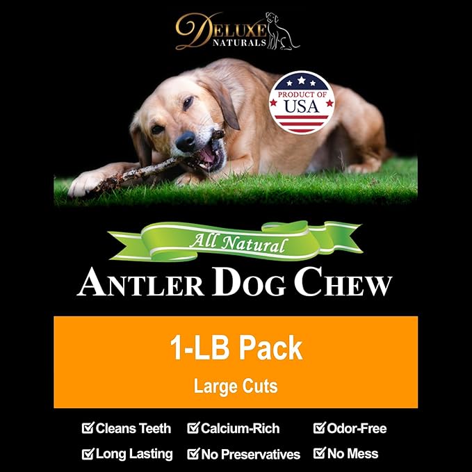Elk Antler For Dogs, 1 lb Pack for Medium to Large Dogs, Premium, Naturally Shed Elk Antler Dog Chews, brown (EML1LB)