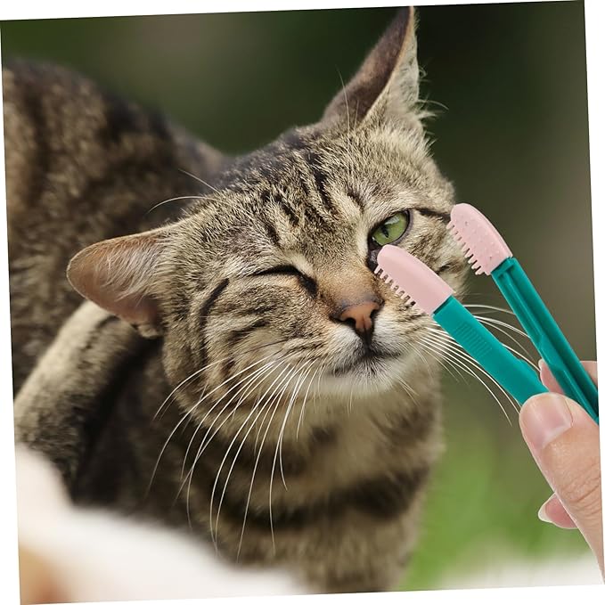 2Pcs Lightweight Kitten Eye Comb Non Slip Tear Brush for Cats Portable Grooming Tool for Pet Eye Care Essential Kitten Supplies