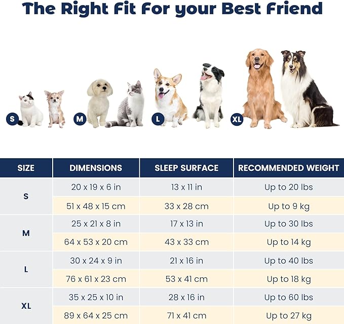 Miguel Outdoor Waterproof Cat Bed with Side, Oxford Durable Dog Bed for Small Dog Easy Clean, All Weather Rectangle Medium Pet Bed Bolster Tough Puppy Bed Scratch Resistant Removable Cover, 20 inches