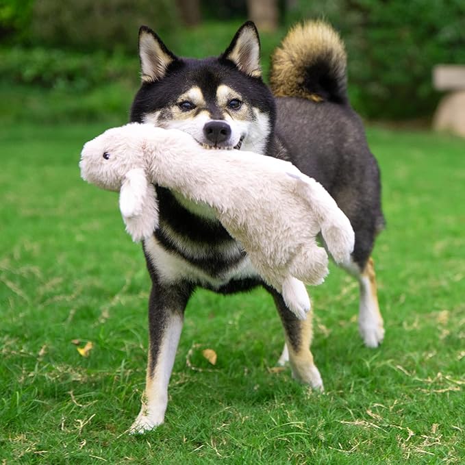 Best Pet Supplies Squeaky Dog Toys with Soft Durable Fabric for Small, Medium and Large Pets Interactive Toy for Indoor Play, Supports Active Biting and Play - 4 Figures, Medium