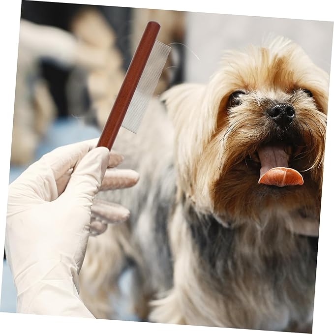 Sosoport 3pcs Dog Cat Hair Comb Pet Grooming Supplies Small Dogs Accessories Wooden Handle Tear Stain Brush