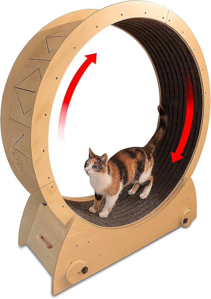 Portable Cat Running Wheel for Indoor Cats 44" Large XL 12" Wide, Cat Treadmill, Wheel with Carpeted Runway for Kitty’s Longer Life, Moveable Safe & Stable Design.