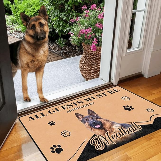 Generic Personalized Dog Cat Doormat, Custom Pet Door Mat for Outdoor, Indoor, Custom Cat Dog Rugs Gifts-24x16inch (Up to 4 Pets), One Size, Style-1
