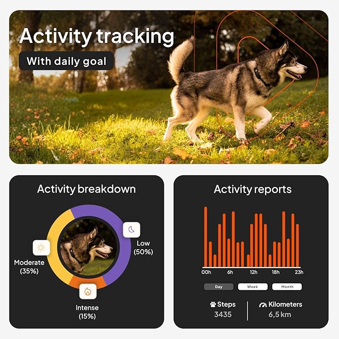 Weenect Dog XT - New GPS Collar for Dogs | XL Antenna | Waterproof | Ultra-Durable Integrated Julius-K9 Collar | Subscription Required