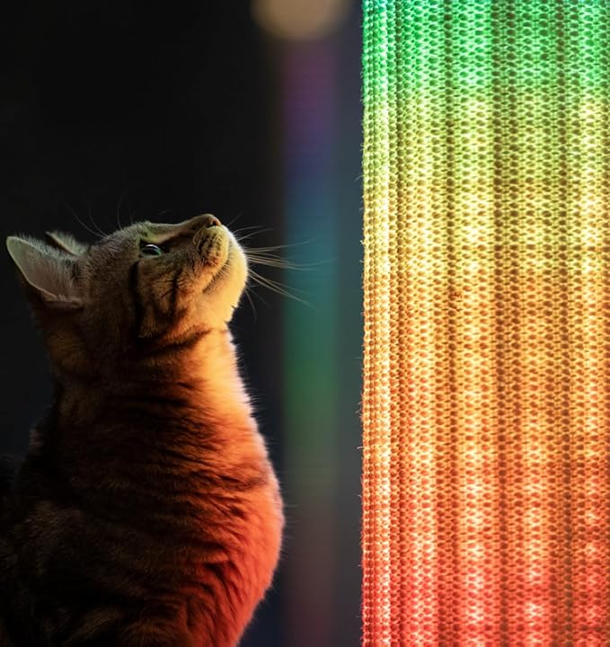 Omlet Switch LED Cat Scratching Post | Sustainable & Extra Tall 33” Cat Scratcher | Boredom Buster for Indoor Cats | Over 1200 Irresistible Light Modes | Bamboo Base and Sisal (Coffee)