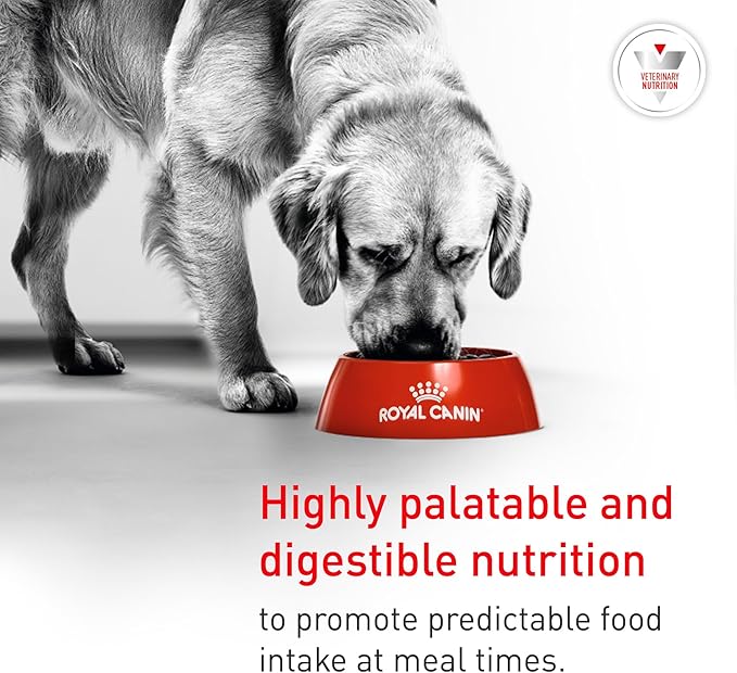 Royal Canin Veterinary Diet Glycobalance Dry Dog Food for Diabetic Adult Dogs, 6.6 lb Bag