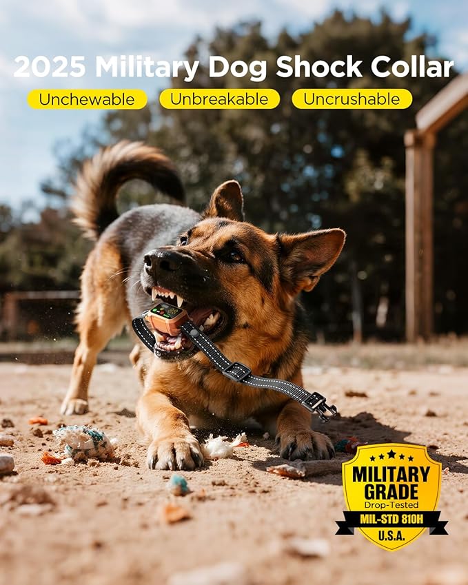 BLACKDOG Military Dog Shock Collar 2 Dogs (5-150lbs) - 4200ft Dog Training Collar with Remote, 4 Training Modes, Flashlight&Strobe, 90-day Battery, IP67 Waterproof Dog E Collar for All Breeds (Orange)