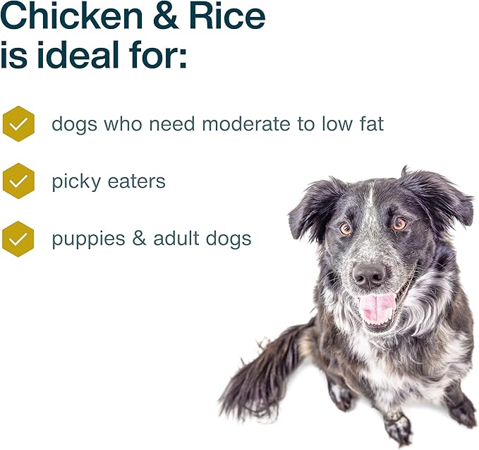 JustFoodForDogs Frozen Fresh Dog Food, Complete Meal or Dog Food Topper, Chicken & Rice Human Grade Dog Food Recipe, 18 oz (Pack of 21)