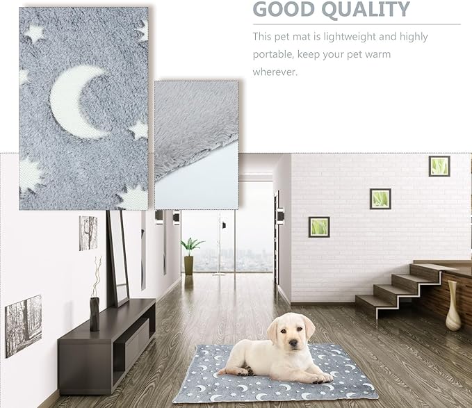 Pet Winter Pad Luminous Dog Floor Pad Cat Warmth Mat Soft Polar Fleece 50x70cm Washable Pet Supply for Indoor Use