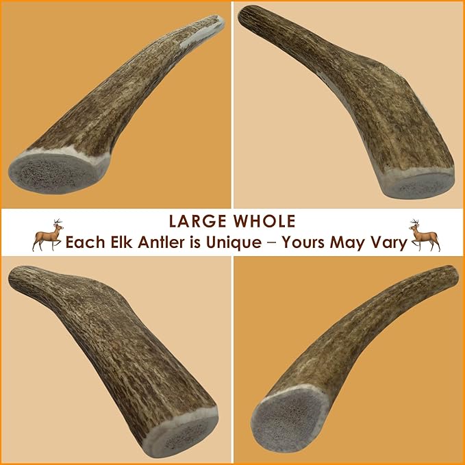 4-Pack Large Whole Elk Antler Dog Chews, 6 to 9+ Inch Natural Long-Lasting Chew Bones for Medium and Large Dogs 30–80 lbs, Aggressive Chewers, Teeth Cleaning