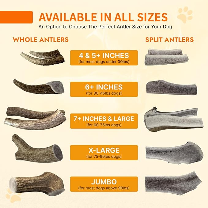 Tibetan Elk Antler for Jumbo Dogs, Grade-A, Premium Chews, Naturally shed Healthy & Longer Lasting Aggressive chewers, USA Product Antler (Split)
