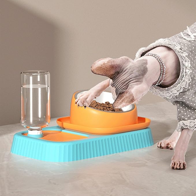 3 in 1 Dog Cat Bowls, Easy to Clean Slow Feeder Bowls, Stainless Steel Food Bowl, Portable Water Dispenser, Multifunctional Pet Feeding Supplies for Indoor Daily Use